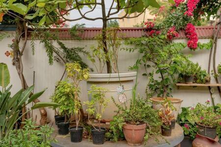 Eden Garden Villa By Jadecaps Nr Mg Road Garden Bangalore Eksteriør bilde