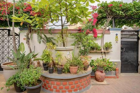 Eden Garden Villa By Jadecaps Nr Mg Road Garden Bangalore Eksteriør bilde